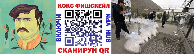 где можно купить наркотик  мега   КОКАИН Fish Scale  Лесозаводск 