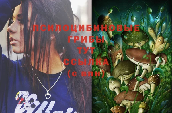 a pvp Михайловка