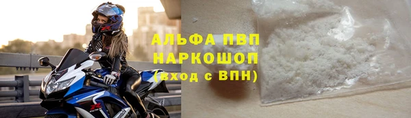 стафф Медвежьегорск