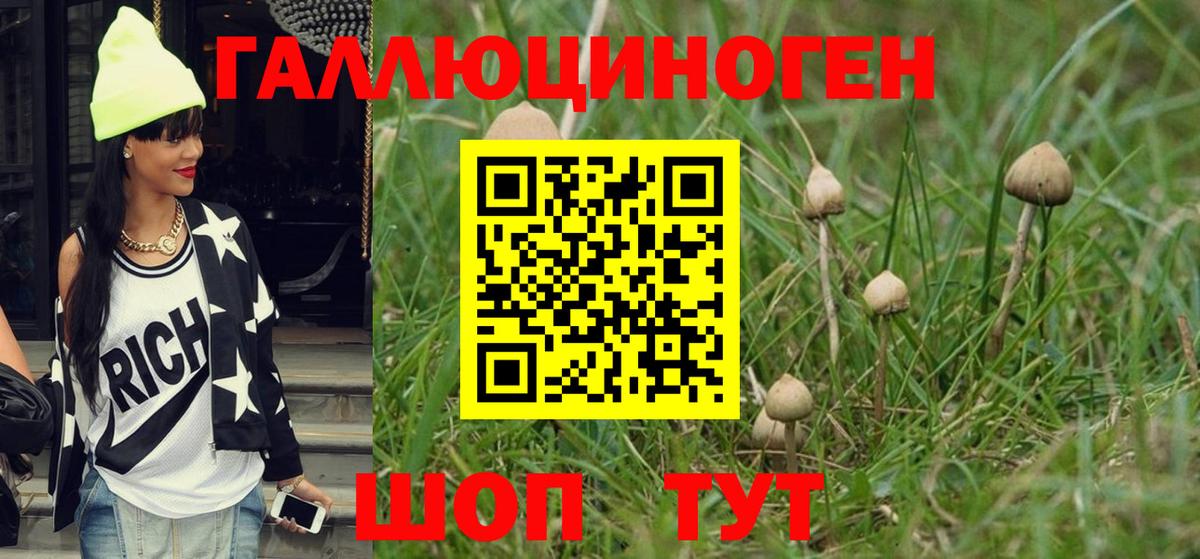 Лесозаводск  где продают   Вход с VPN  Галлюциногенные грибы Magic Shrooms 