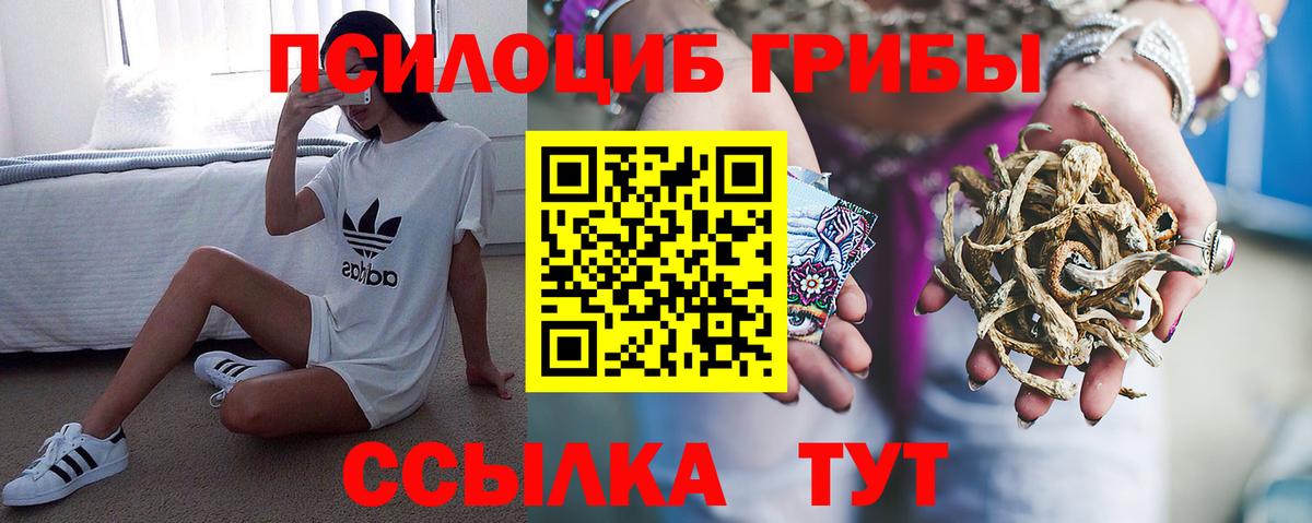 Галлюциногенные грибы GOLDEN TEACHER Лесозаводск