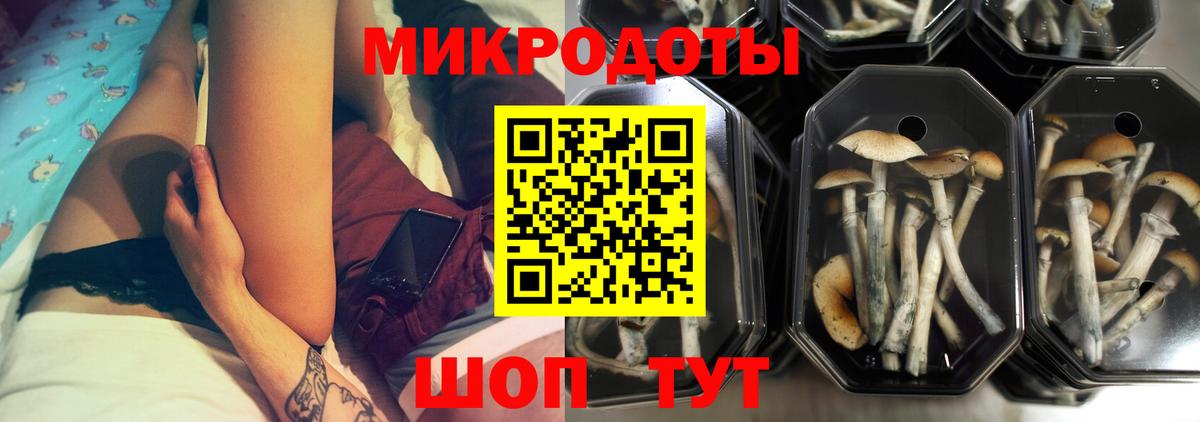 Псилоцибиновые грибы Psilocybe  Галлюциногенные грибы Psilocybine cubensis  Лесозаводск 